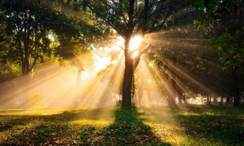 η πρώτη καλημέρα της ημέρας